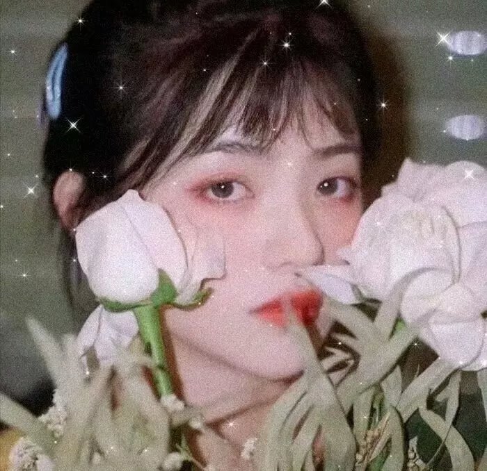 我的奇妙室友免费在线观看封面