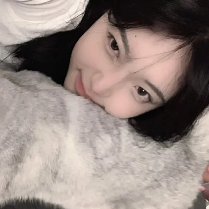 小莫莉大冒险排行榜封面