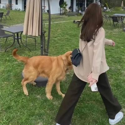 狐妖小红娘月红篇免费在线观看封面